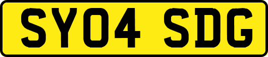 SY04SDG