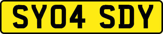 SY04SDY