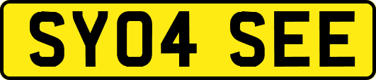 SY04SEE