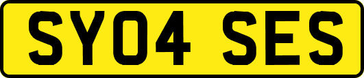 SY04SES