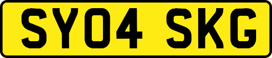 SY04SKG