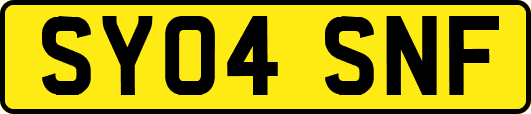 SY04SNF