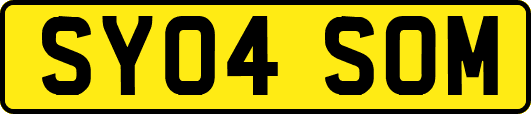 SY04SOM