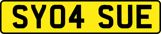 SY04SUE