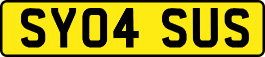 SY04SUS