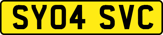 SY04SVC