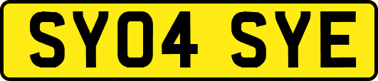 SY04SYE