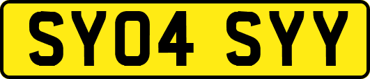 SY04SYY