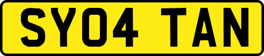 SY04TAN