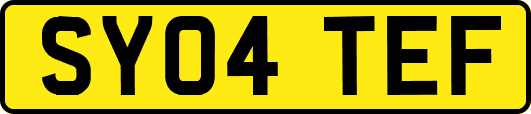 SY04TEF