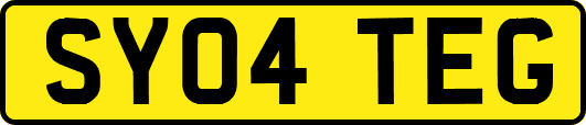 SY04TEG