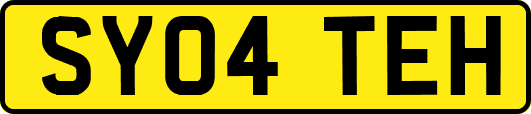 SY04TEH