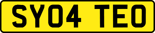SY04TEO