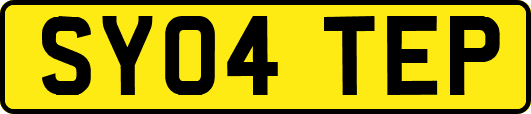 SY04TEP