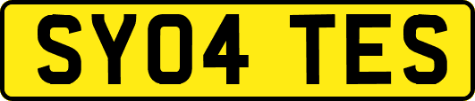 SY04TES