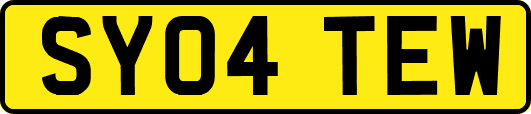 SY04TEW