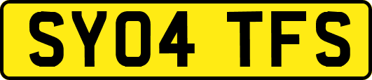 SY04TFS