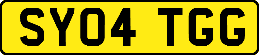 SY04TGG