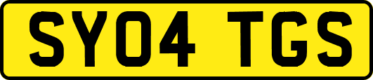 SY04TGS