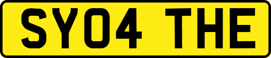 SY04THE