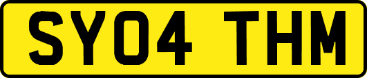 SY04THM