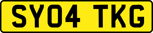 SY04TKG