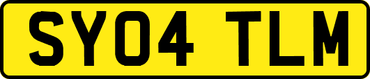 SY04TLM