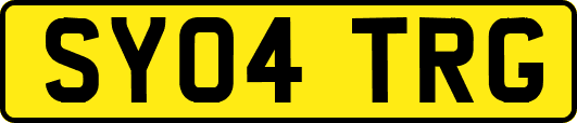 SY04TRG