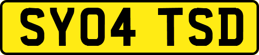 SY04TSD