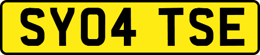 SY04TSE