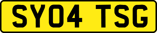 SY04TSG