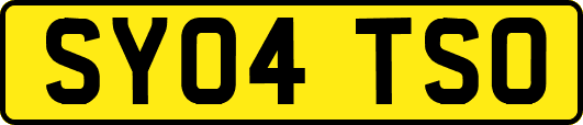 SY04TSO