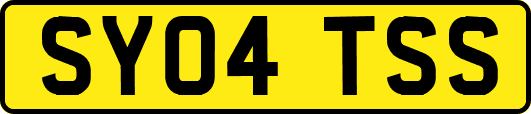 SY04TSS