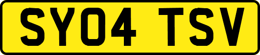 SY04TSV