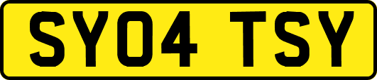 SY04TSY