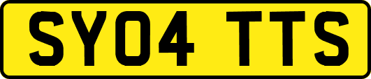 SY04TTS