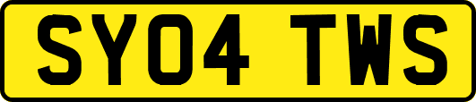 SY04TWS