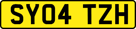 SY04TZH