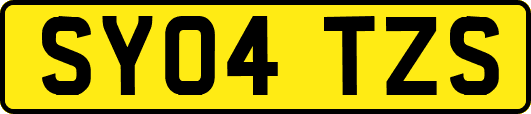 SY04TZS