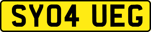 SY04UEG