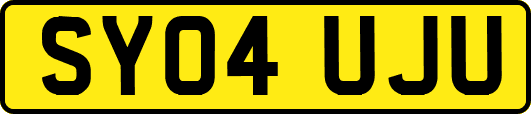 SY04UJU