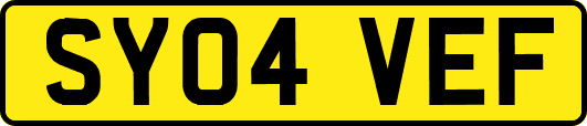 SY04VEF