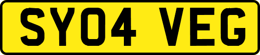 SY04VEG