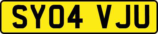 SY04VJU
