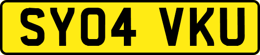 SY04VKU