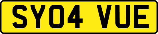 SY04VUE