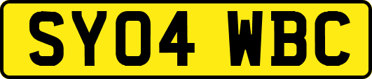 SY04WBC