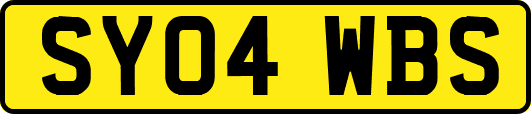SY04WBS