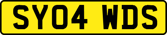 SY04WDS
