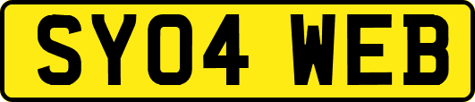 SY04WEB